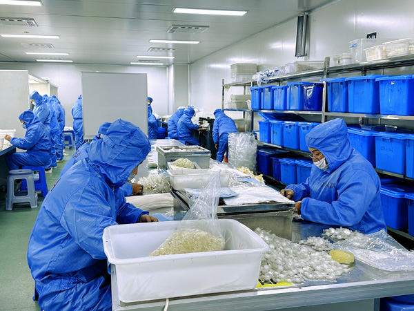 醫(yī)用耗材的采購與質(zhì)量控制：打造高品質(zhì)醫(yī)療服務(wù)